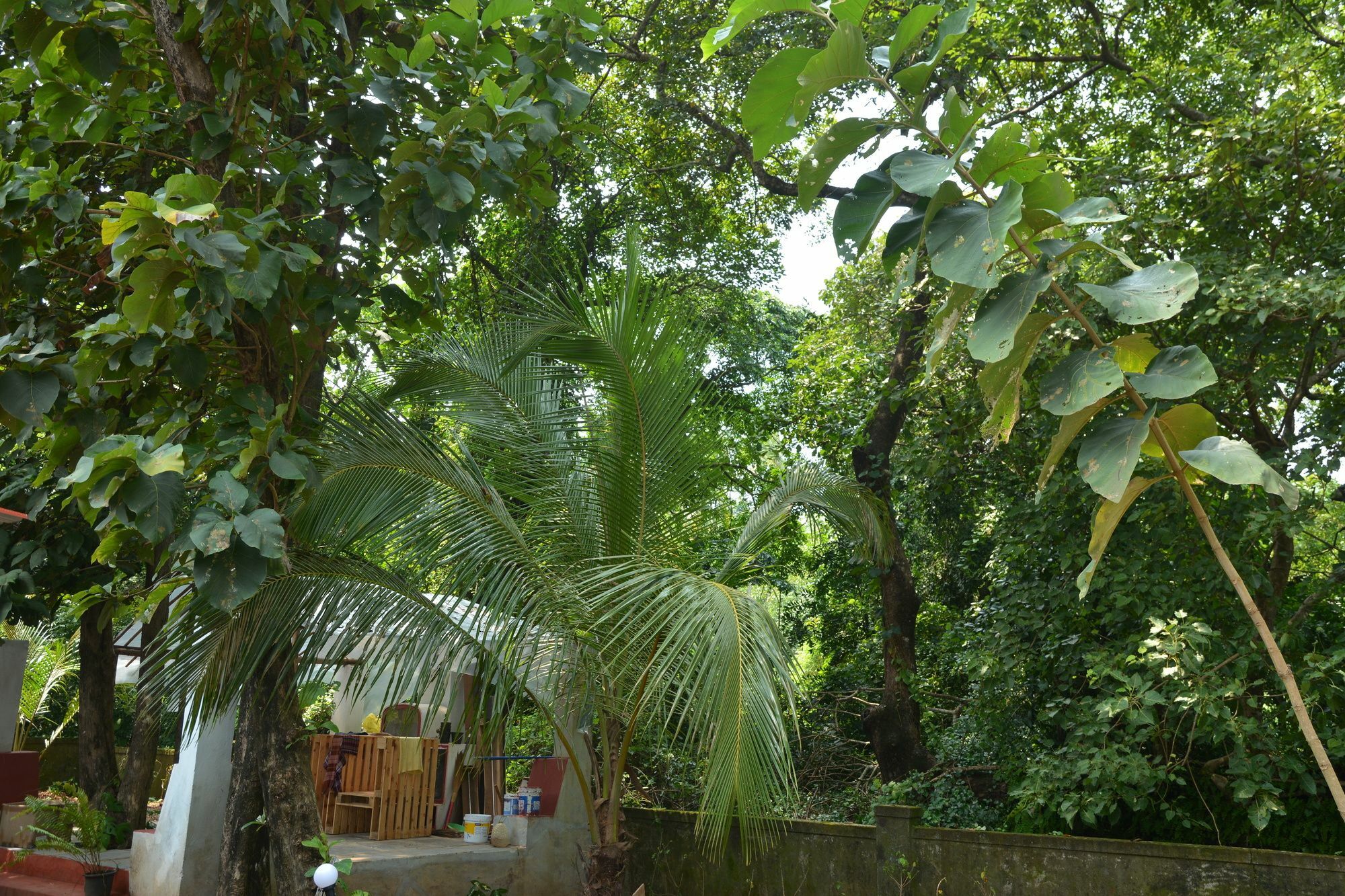 Folklore Hostel Goa Vagator Luaran gambar